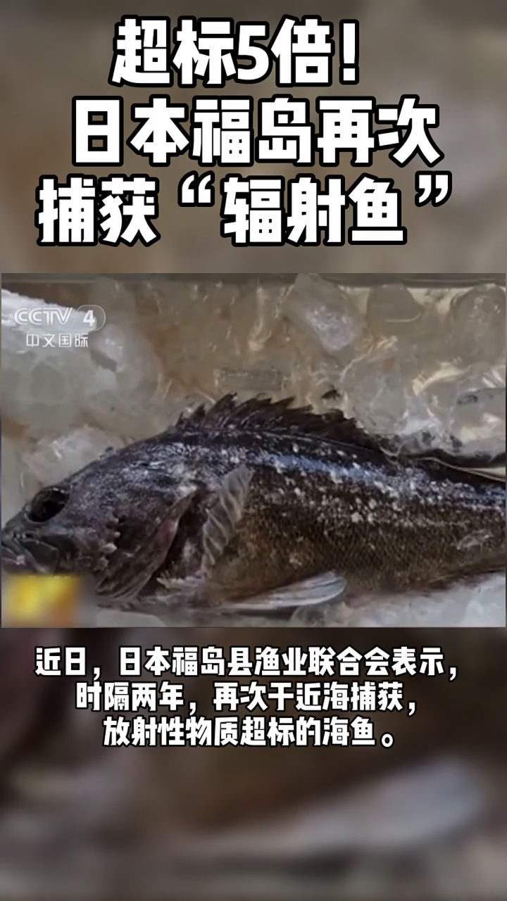 超标5倍!日本福岛再次捕获“辐射鱼”