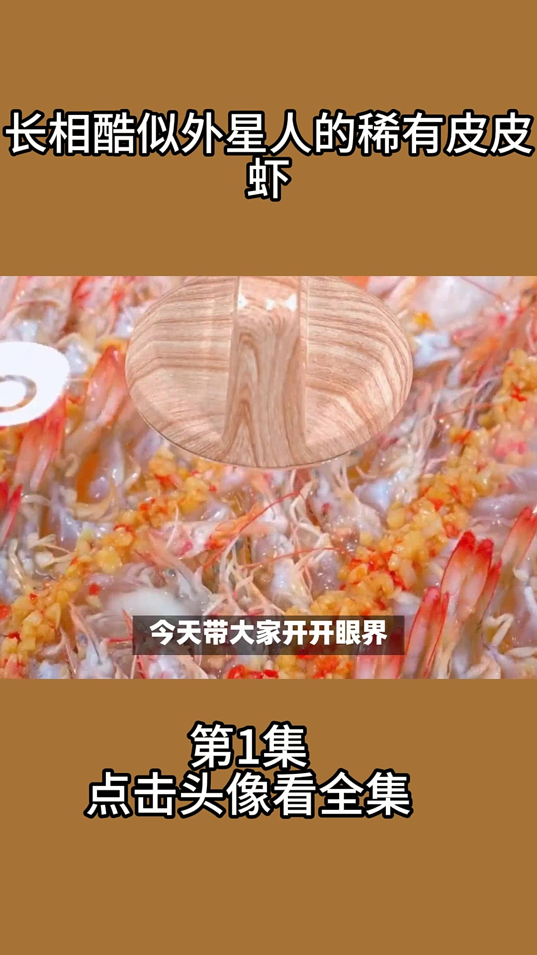 长相酷似外星人的稀有皮皮虾1