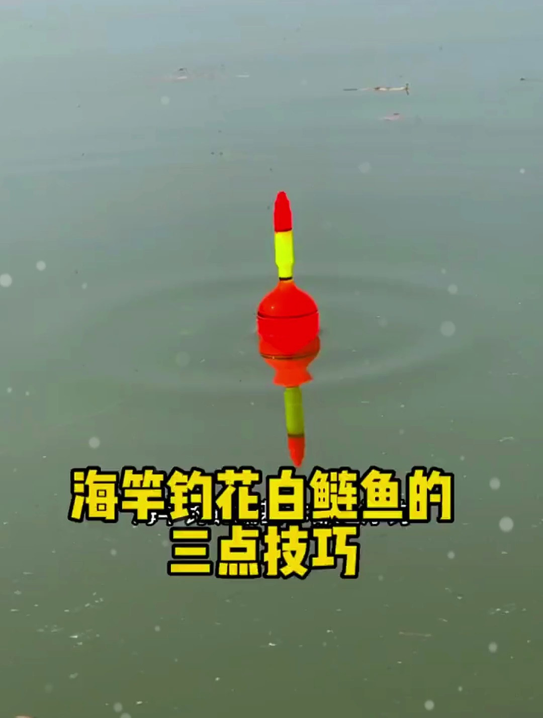 海竿钓花白鲢要注意:天气、水域、水深,鲢鱼钓得多的技巧