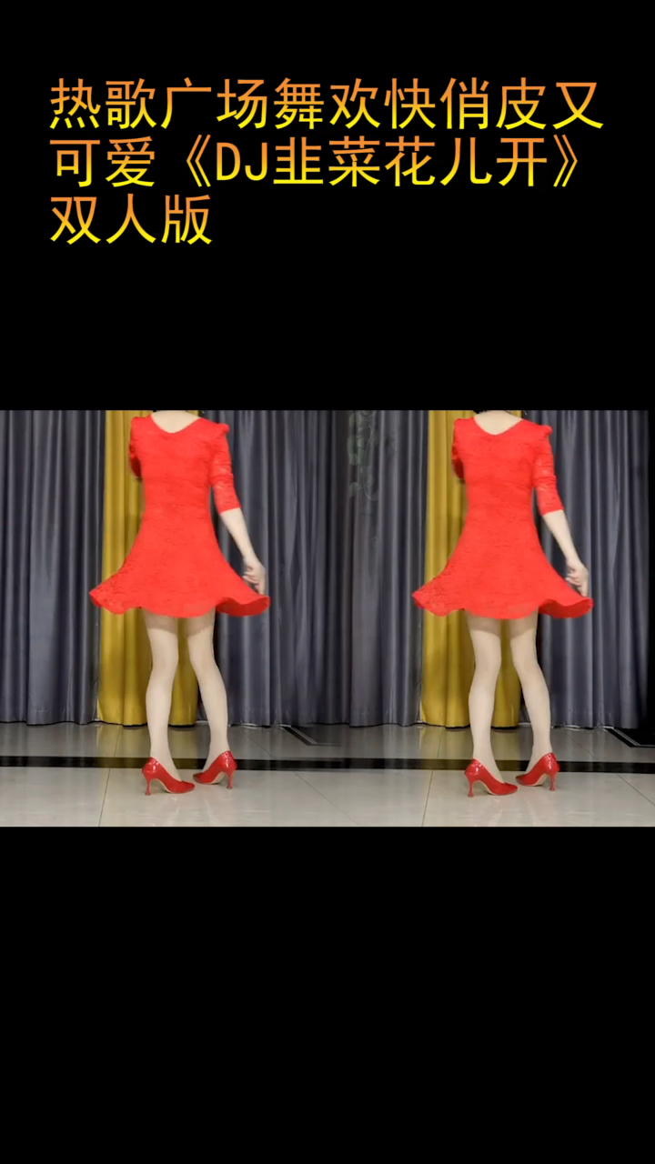 热歌广场舞欢快俏皮又可爱《DJ韭菜花儿开》双人版