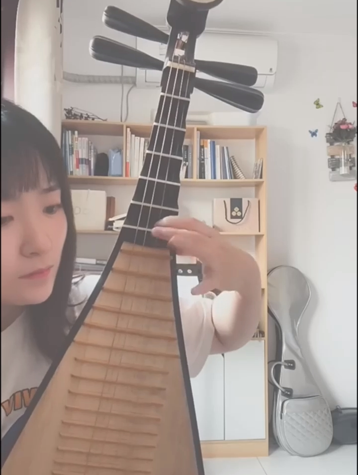 8用琵琶弹这个曲子绝了!琵琶教学学完我的初级入门课