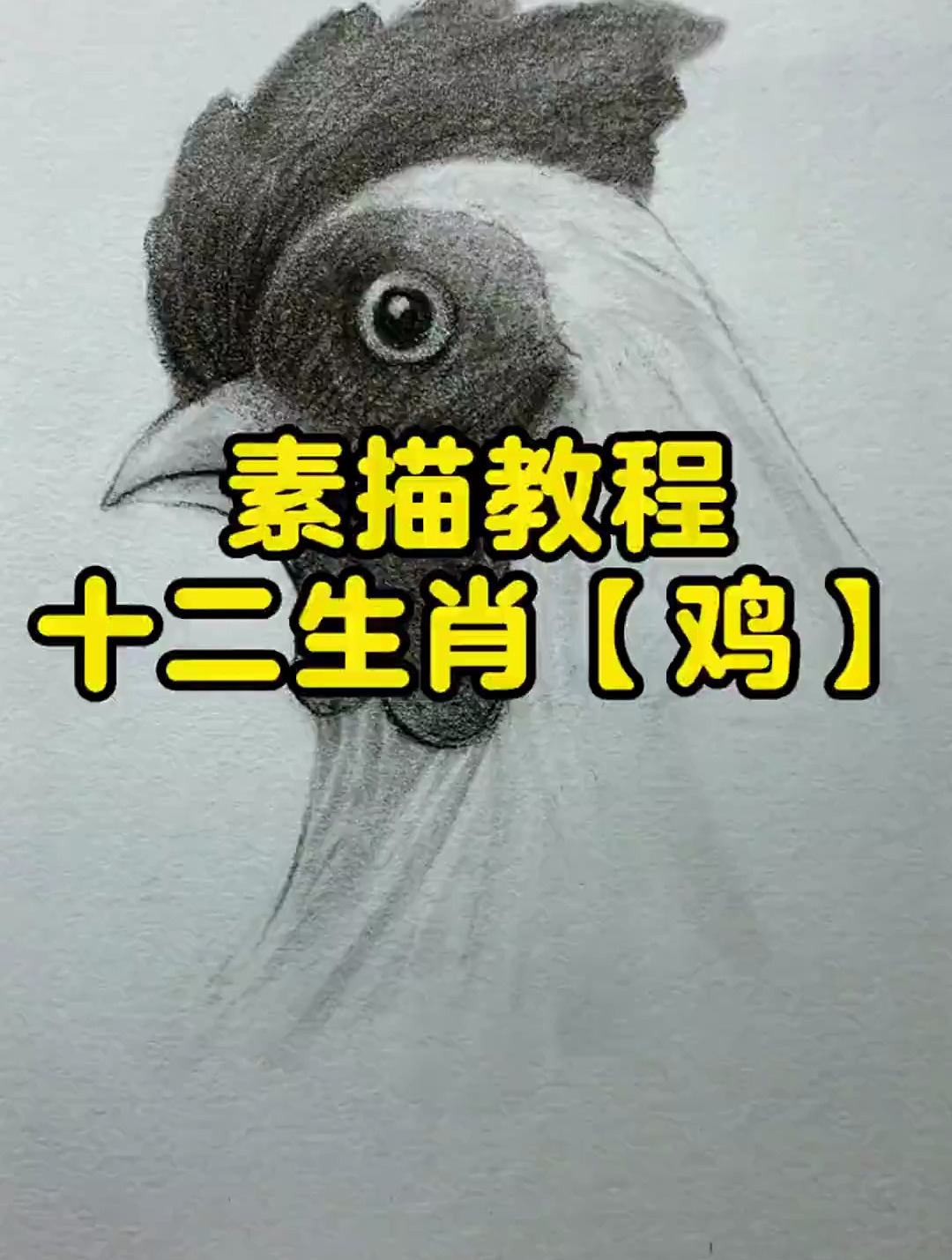 十二生肖之公鸡头教程来咯