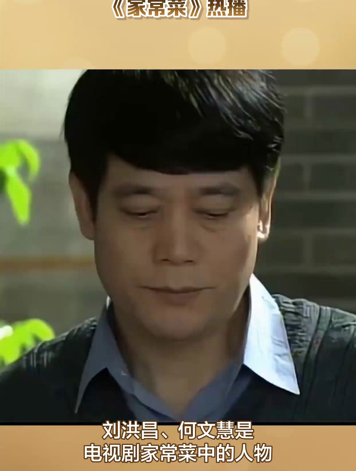 洪昌文慧是电视剧《家常菜》中的人物