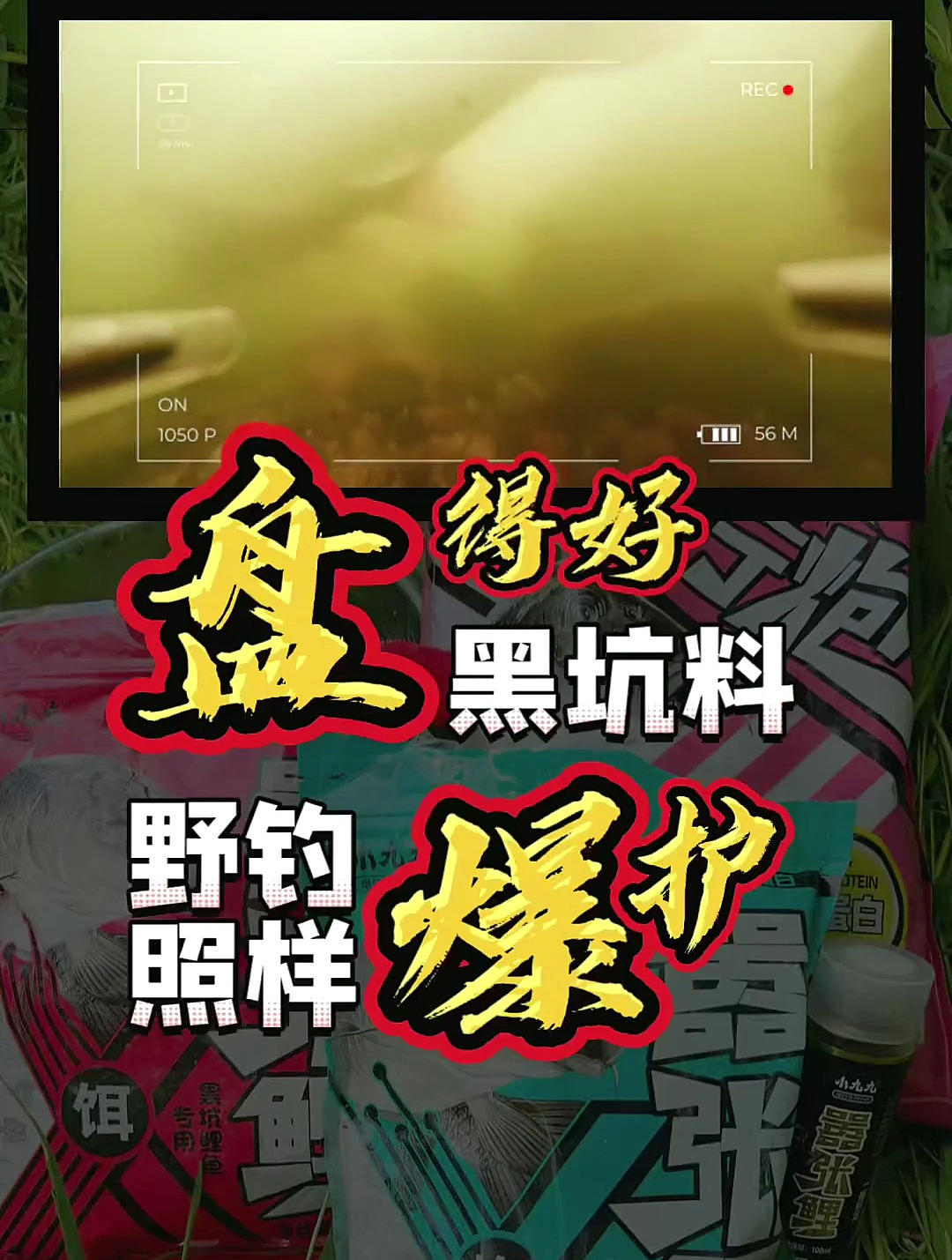 黑坑饵料盘的好,野钓一样爆护!鲤鱼也爱吃