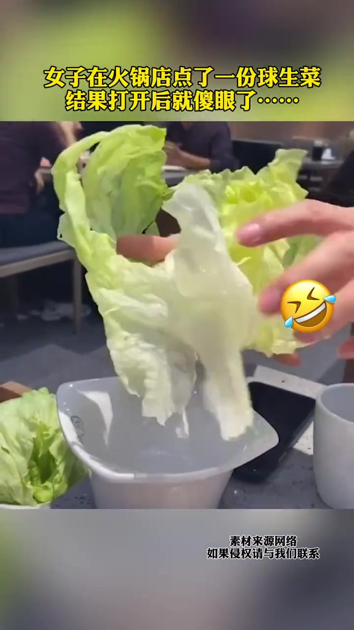 女子在火锅店点了份球生菜,打开后就两片菜叶