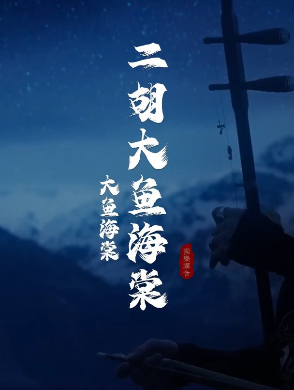 来自法国的二胡骑士演绎《大鱼海棠》完整版,真的音乐无国界