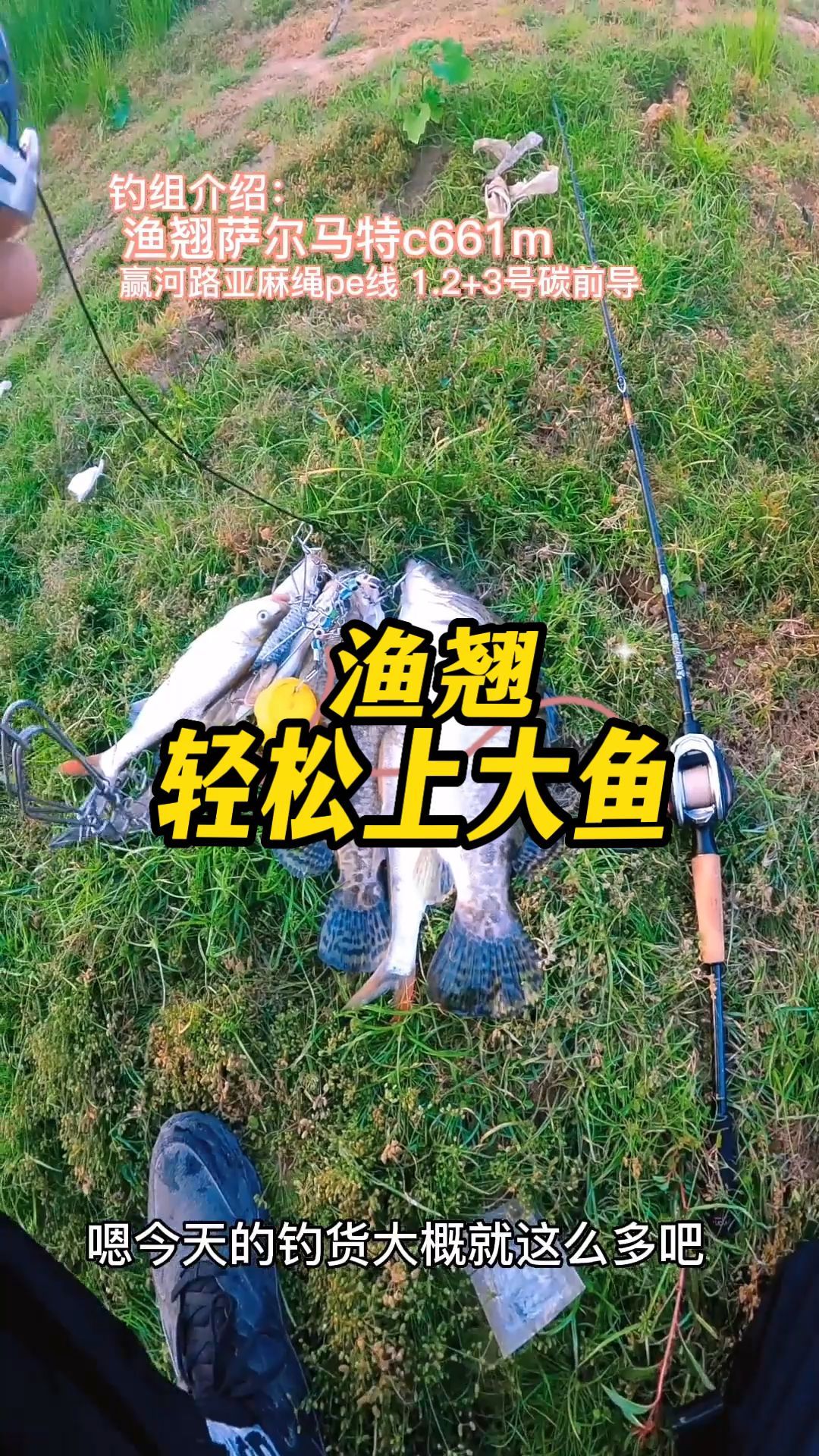 除了鳜鱼鲶鱼翘嘴红尾乌鱼,就问这河里还有啥品种的鱼?