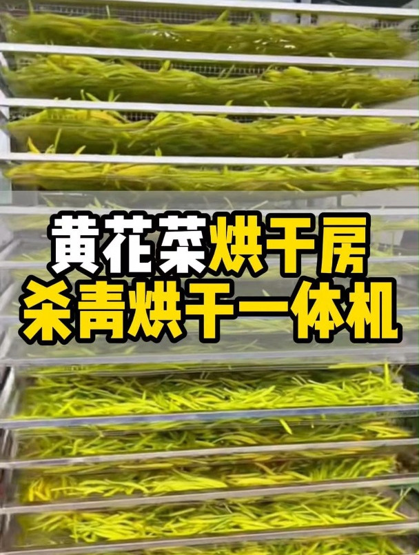 黄花菜烘干房设备,杀青烘干一体机
