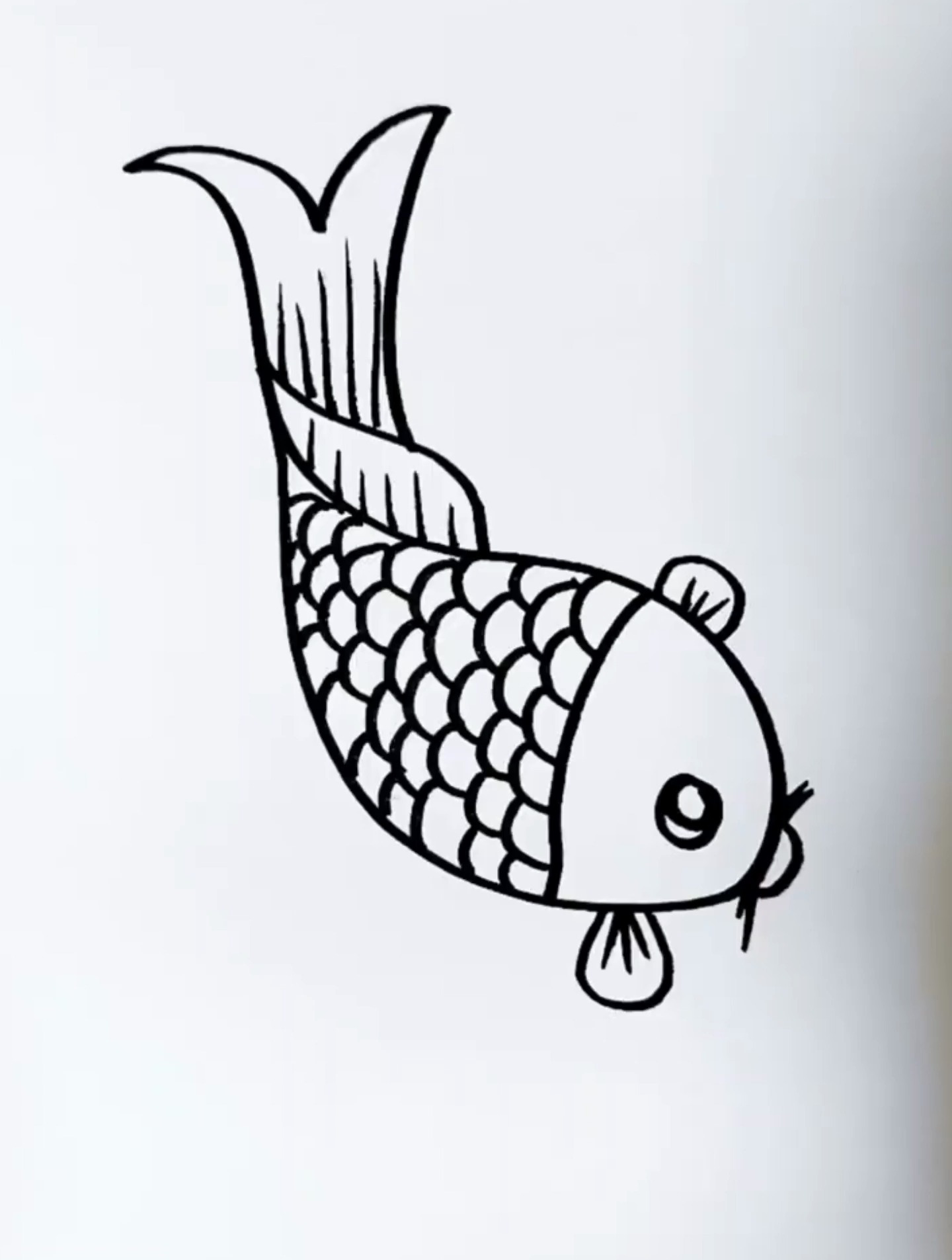 用字母S和C画大鲤鱼,一起组队画起来吧!