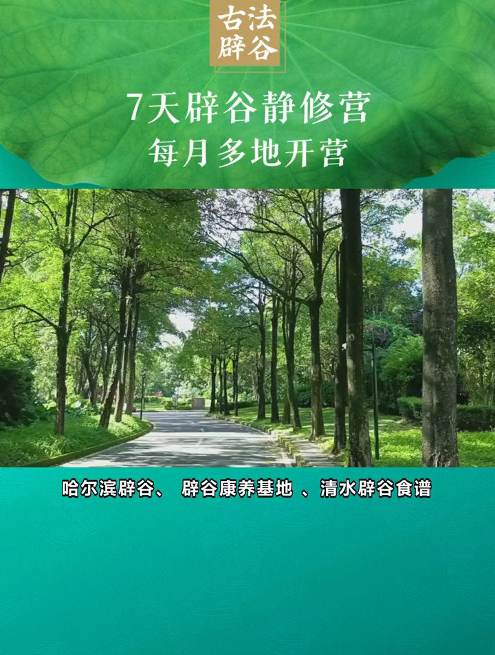 上海静安、上海黄浦、14天辟谷营,点我头像了解