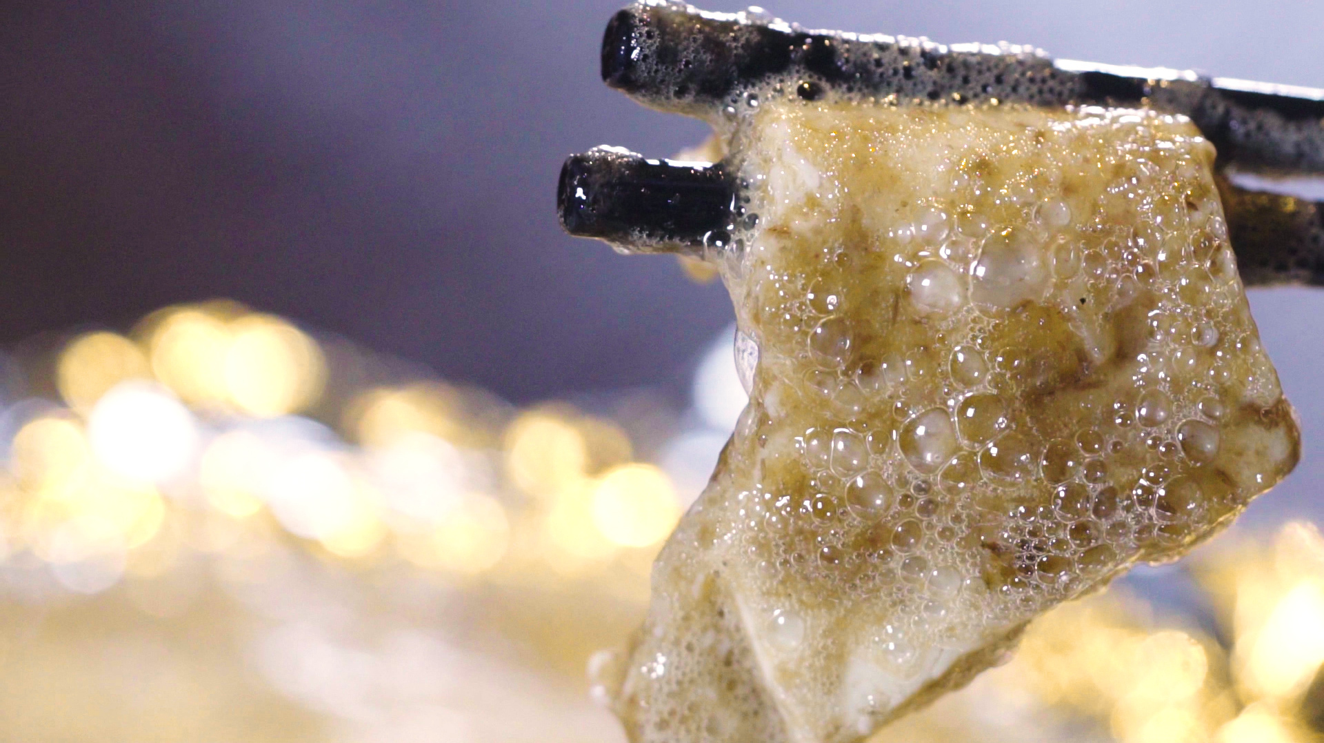 汾阳大厨教你做正宗虾酱豆腐,做出来的豆腐个个睁眼,快来看看