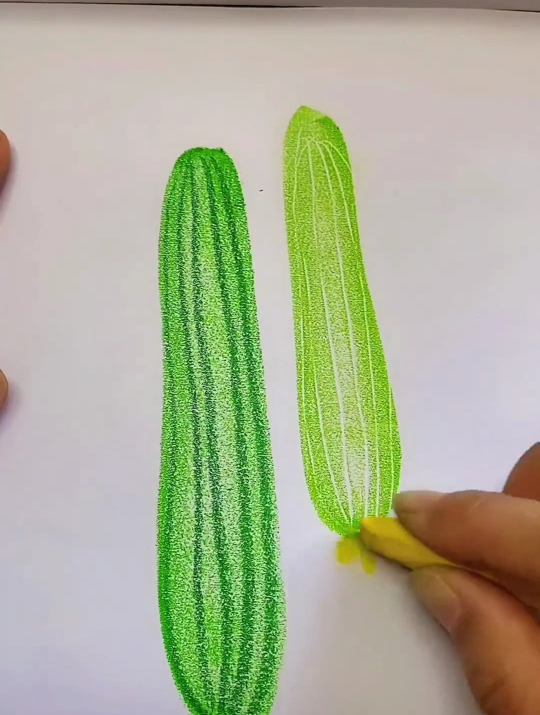 油画棒简单几笔画丝瓜 想画就画 简笔画 油画棒