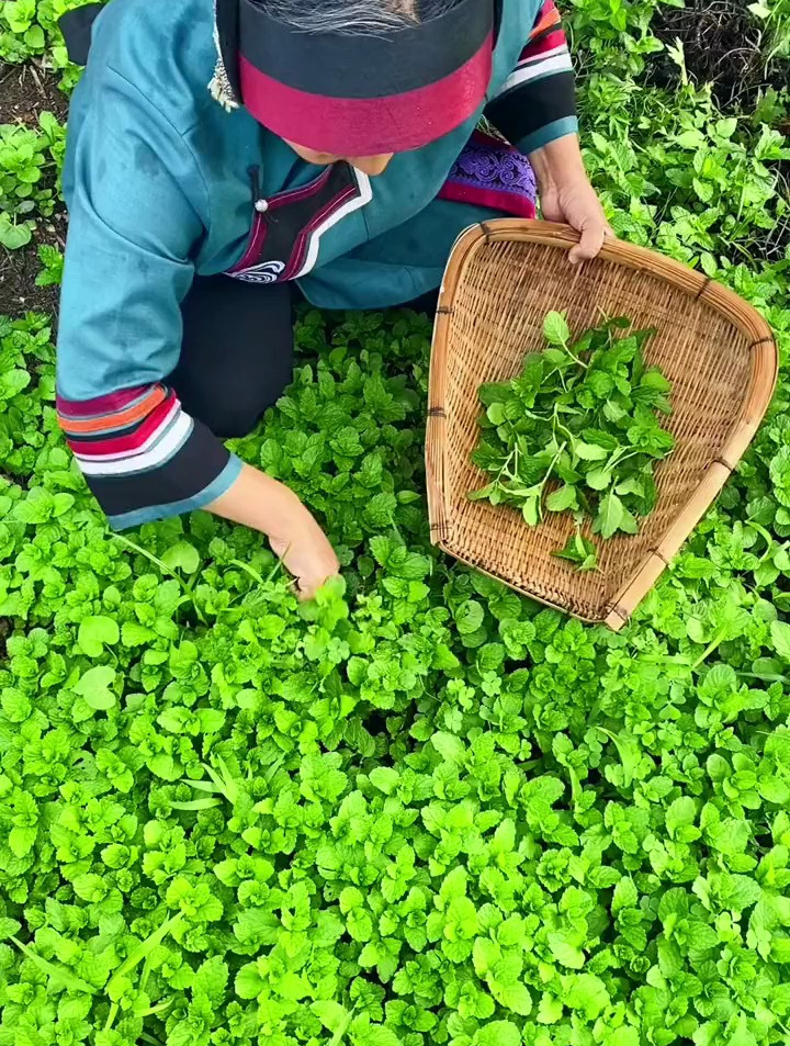 鸡蛋薄荷汤怎么样做才不会黑