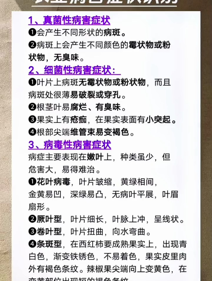 农业病害症状快速识别,炭疽病霜霉病青枯病病毒病快速识别