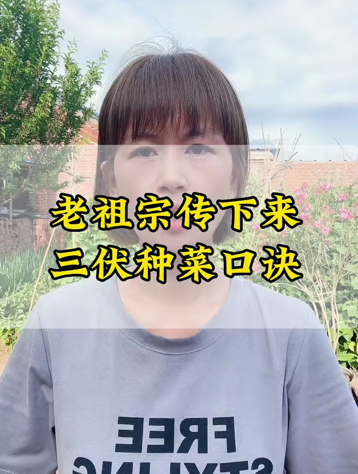 老祖宗流传下来的三伏天种菜口诀,很实用,句句都是经典