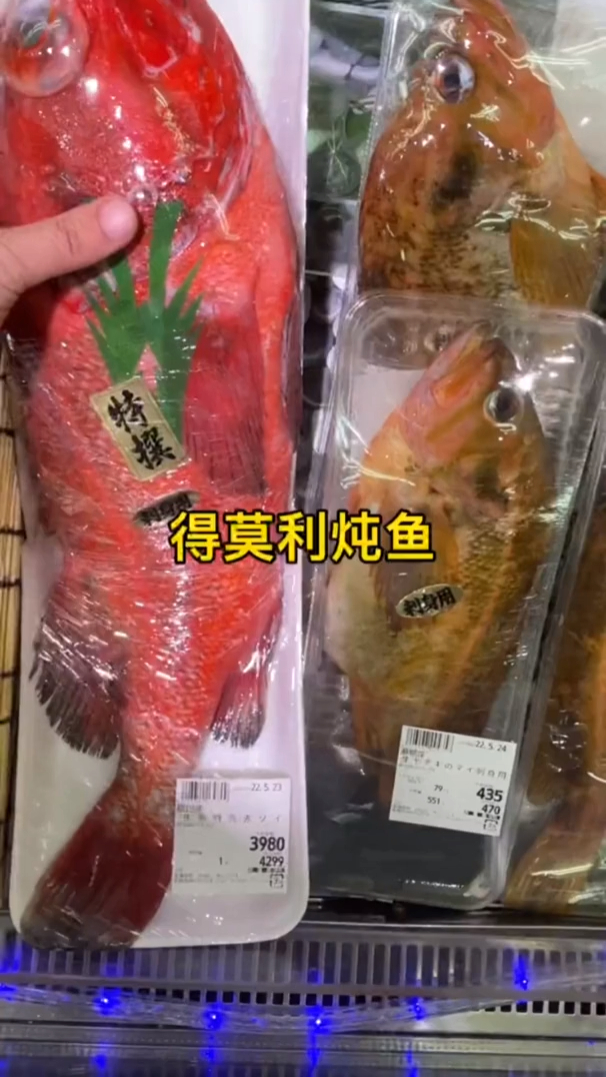 今天来做个得莫利炖鱼,这么炖鱼也太香啦吧!