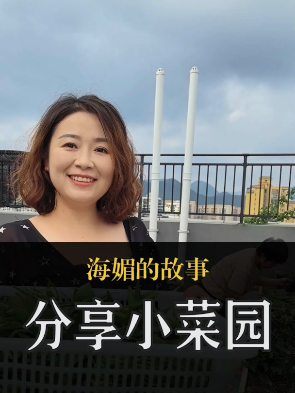 我的菜园大丰收,和大家分享一下我的劳动成果!