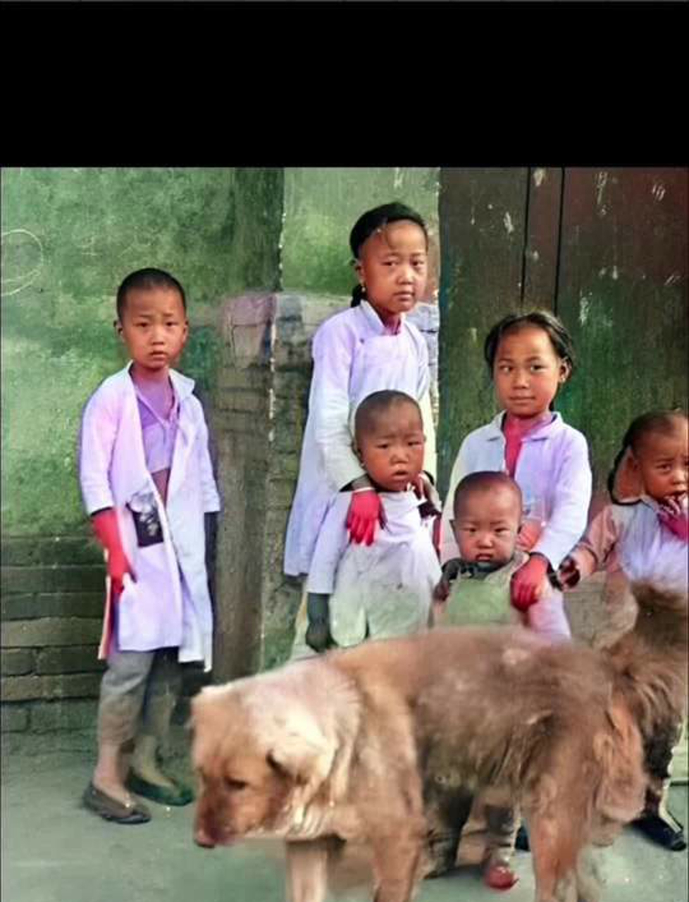 北京老宅的温馨记忆:石榴树下,老爷与胖丫头共赏天棚鱼缸