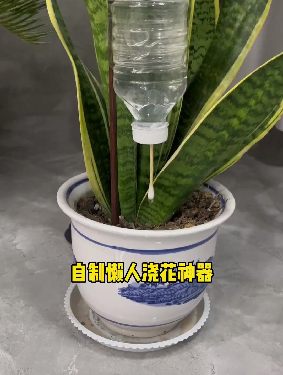 自制懒人浇花神器,教你一招生活小技巧
