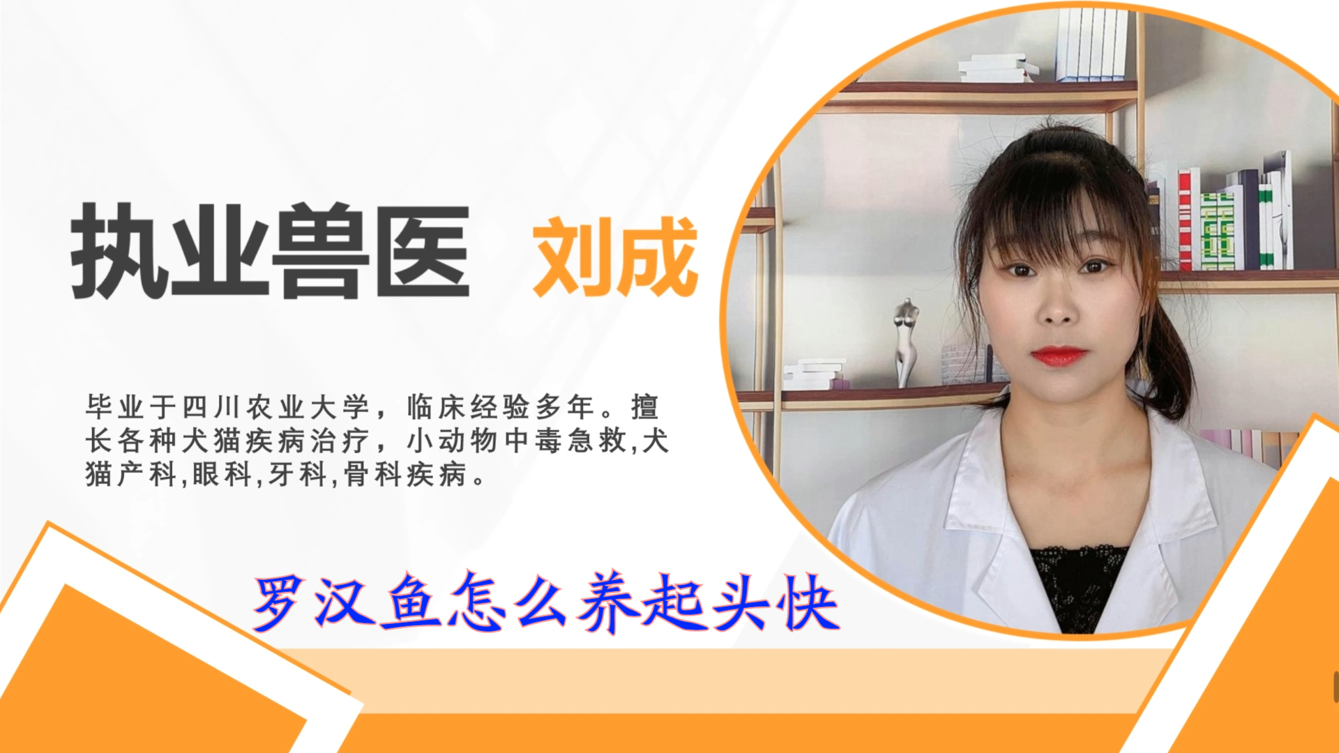 罗汉鱼怎么养起头快