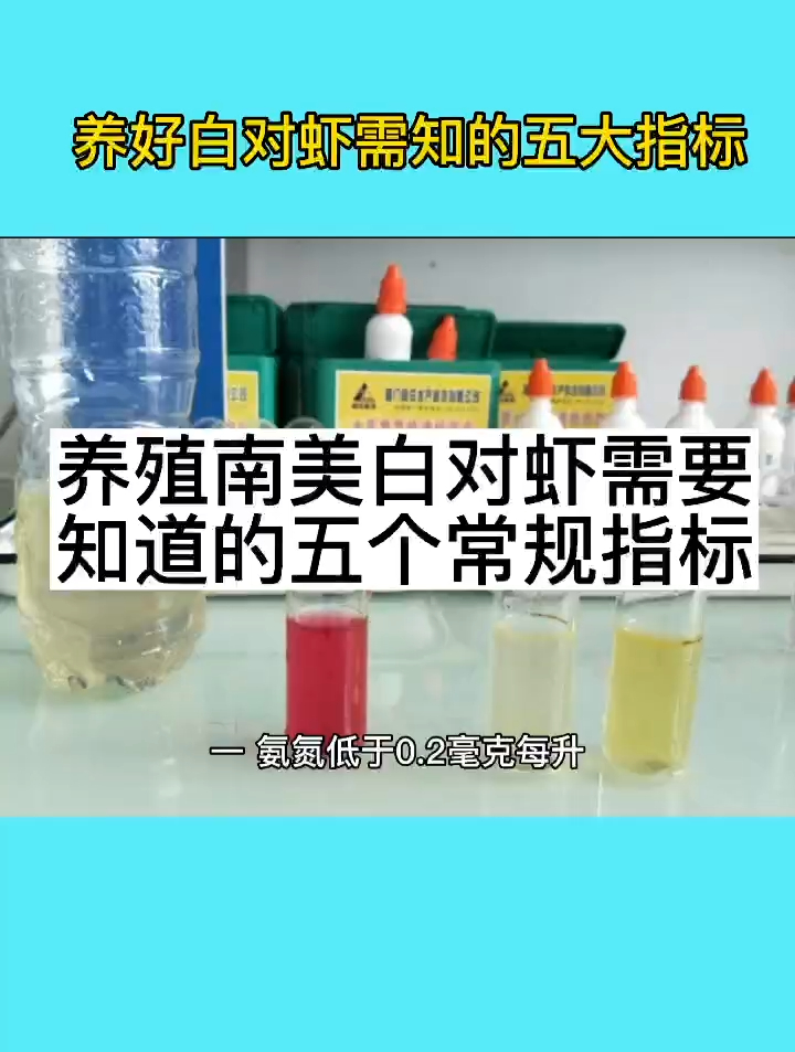 养殖南美白对虾最常见的五大指标!