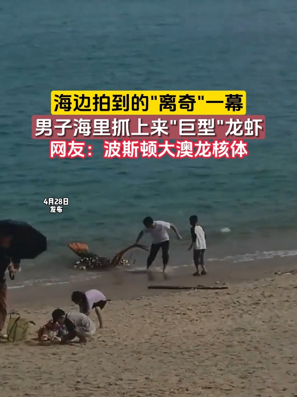 海边拍到的离奇一幕,男子海里抓上来巨型龙虾