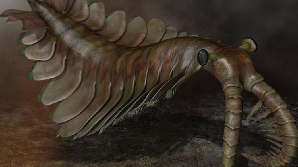 连恐龙都会害怕的生物,还是海洋里曾经的王,幸亏已经灭绝了