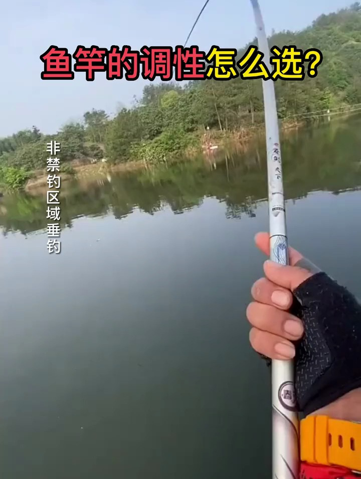 钓鱼新手注意了,来看看鱼竿调性应该怎么选?