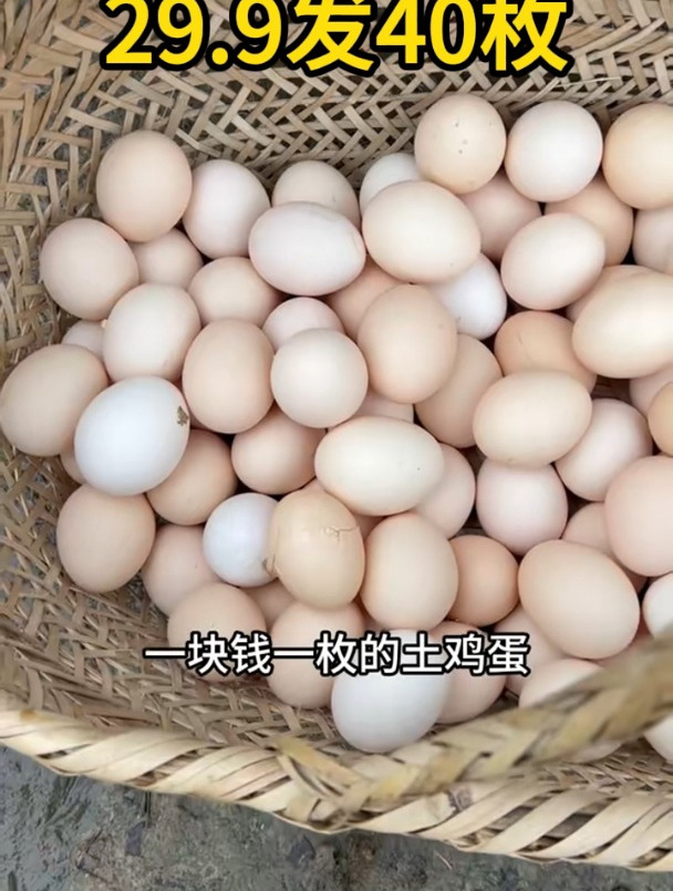 农家散养正宗土乌鸡蛋