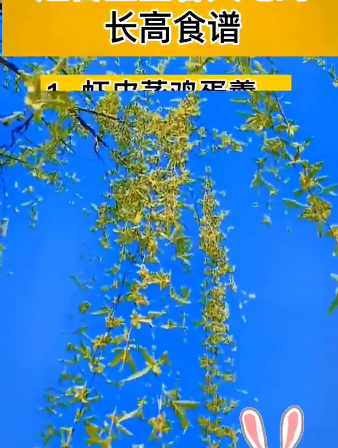 虾皮蒸鸡蛋羹,芝麻酱拌菠菜,补钙远胜骨头汤!