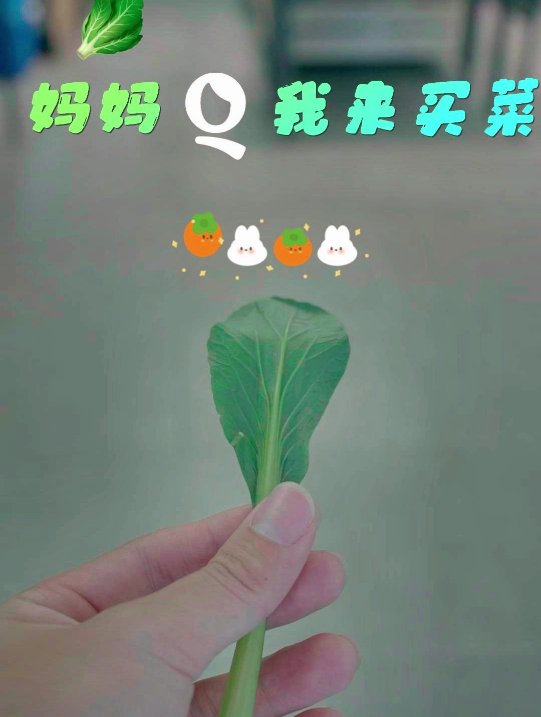 更适合中国宝宝体质的供港尖叶菜心!钱大妈 妈妈Q我来做饭