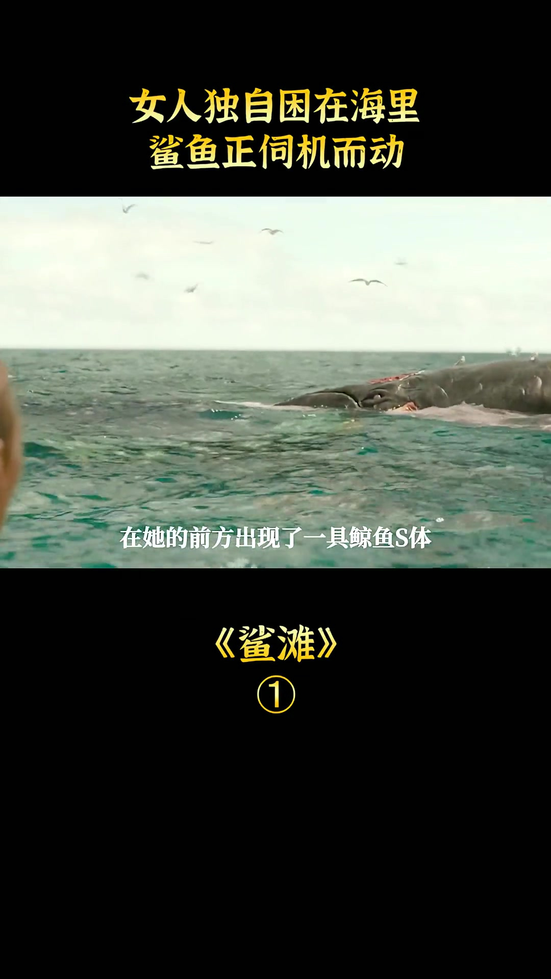 女人独自困在海里,鲨鱼正伺机而动,恐怖片《鲨滩》