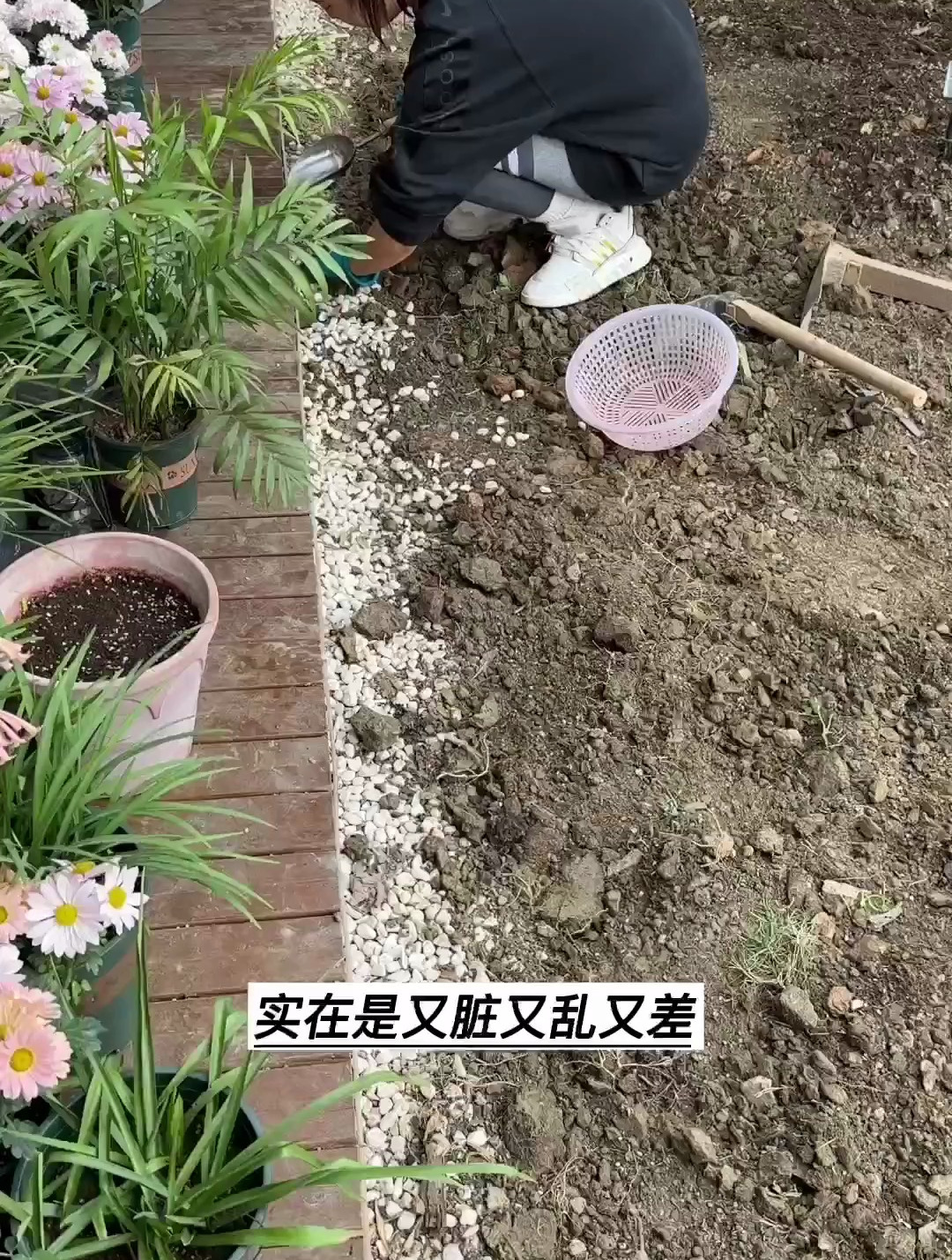 白色鹅卵石铺花园简直就是一个巨坑。太后悔了