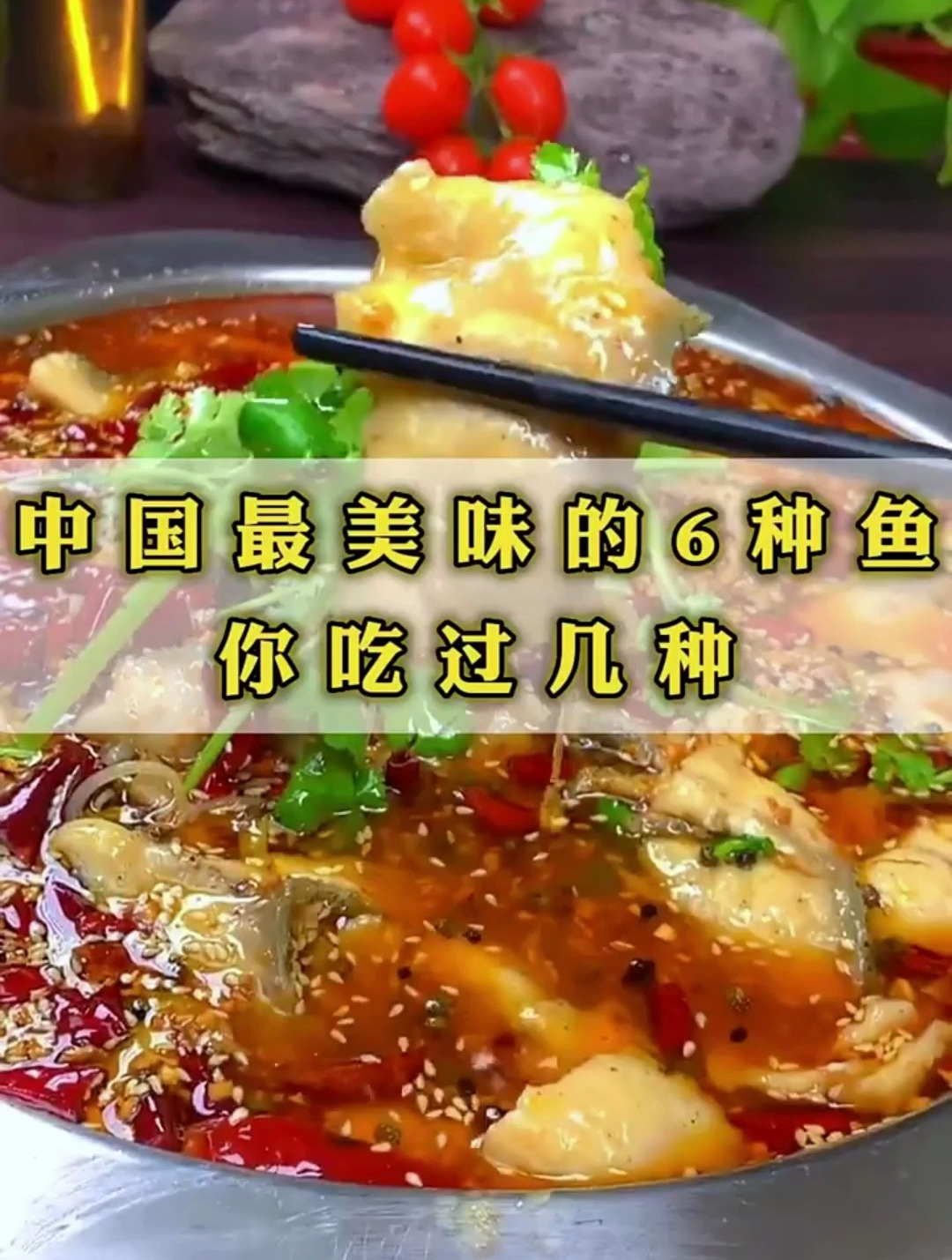中国最美味的6种鱼?你吃过几种!