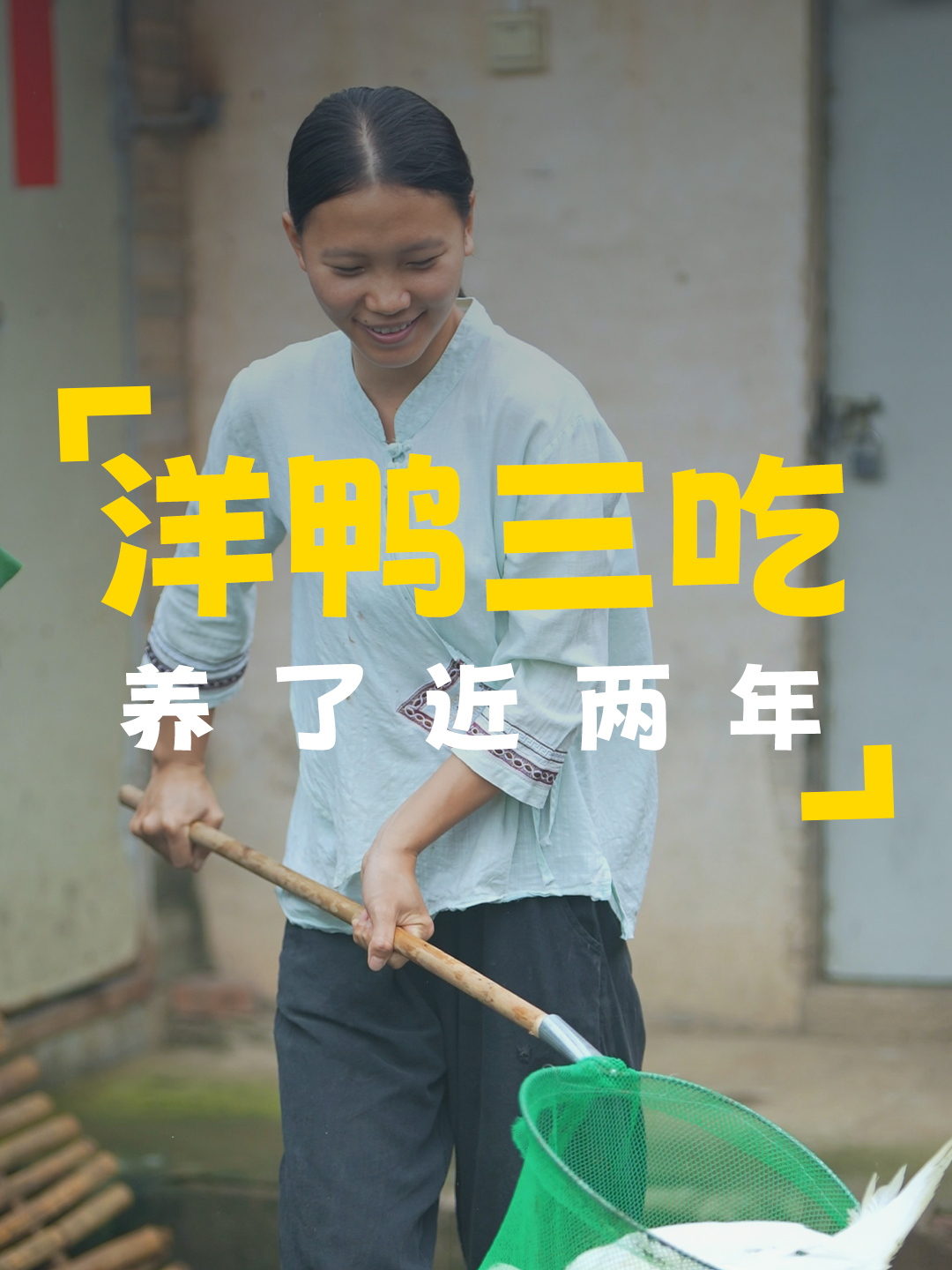 洋鸭养了将近两年,把它抓来炖了,一鸭三吃,特别下饭