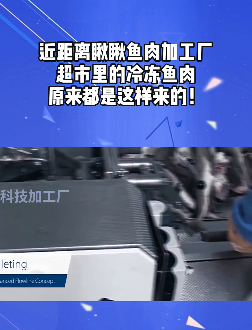 近距离瞅瞅鱼肉加工厂,超市里的冷冻鱼肉,原来都是这样来的!