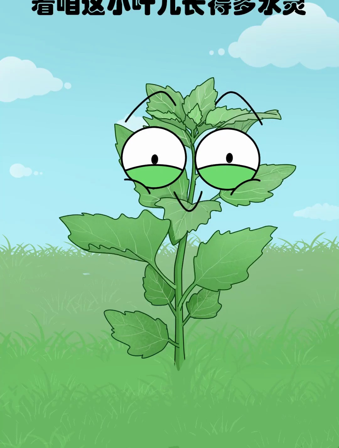 灰灰菜报仇 一顿饭不晚