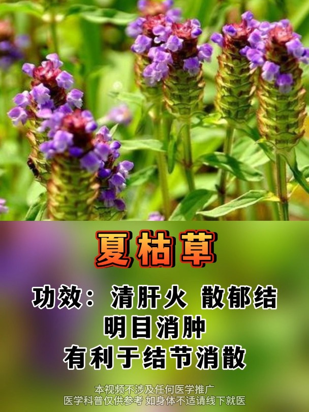 4种草轻松对付肺结节
