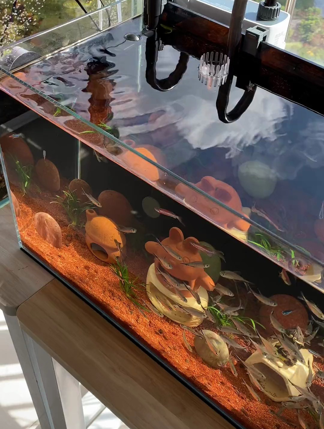 今天来看看这个背包过滤的安装,适合40到70厘米的鱼缸