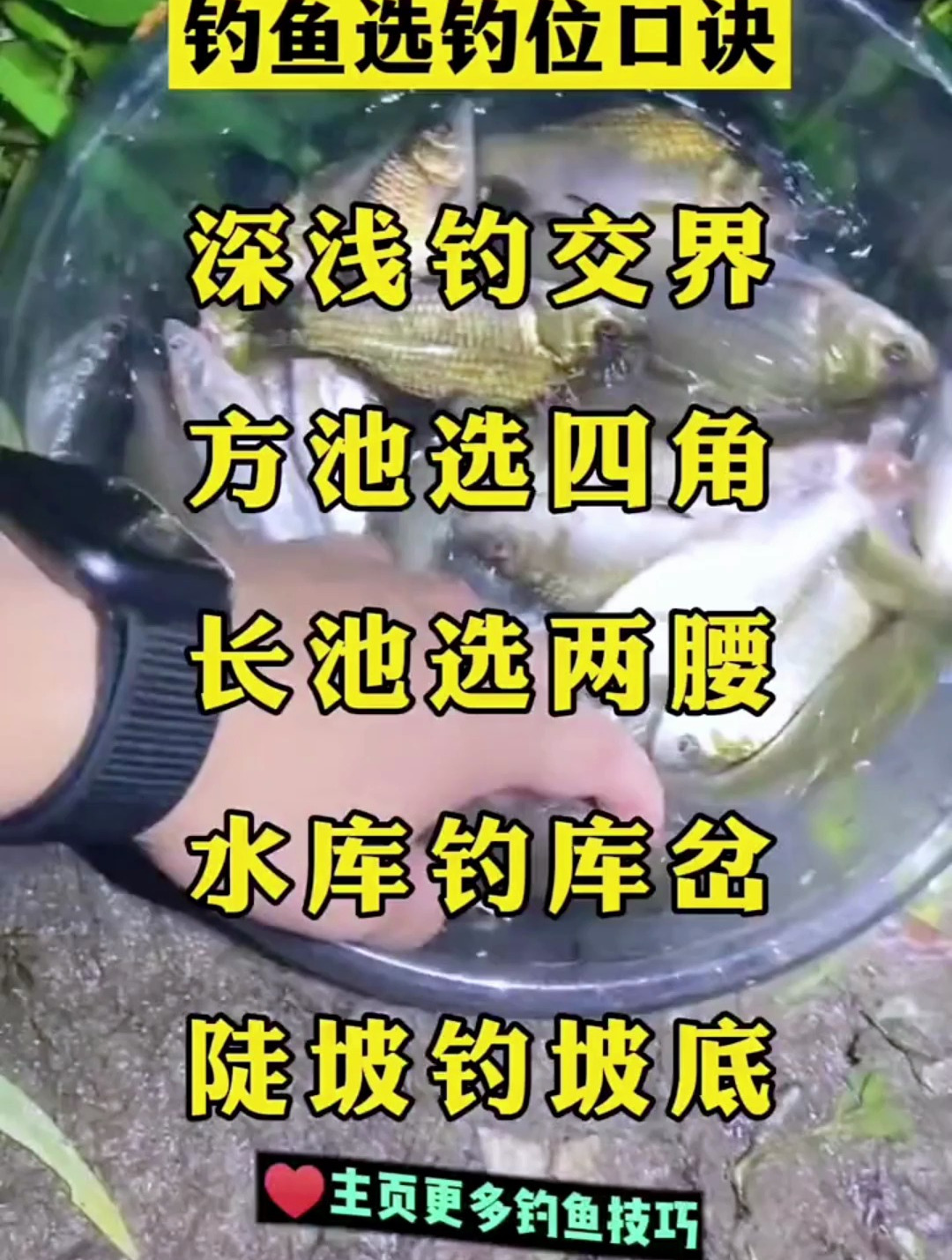 钓鱼怎么选择钓位?这25个字就能教会你!