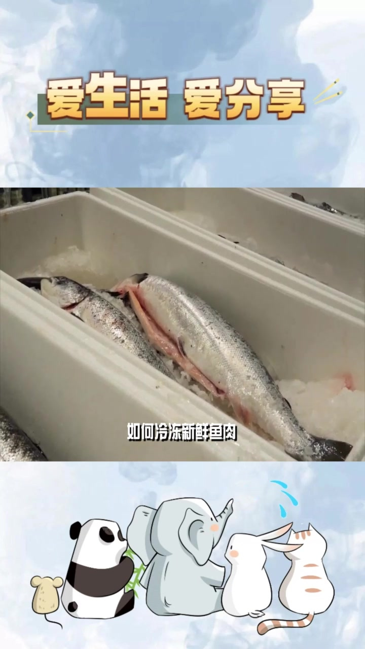 如何冷冻新鲜鱼肉延长保质期