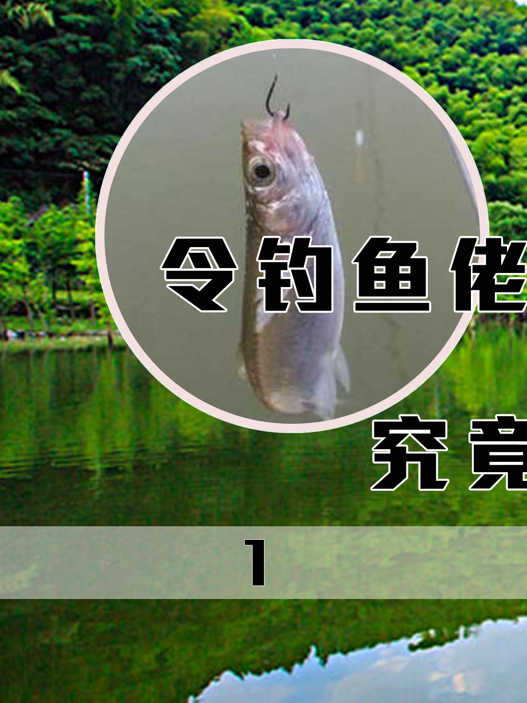 白条究竟是种什么鱼?为啥能令钓鱼佬恨之入骨,这种鱼能长多大?