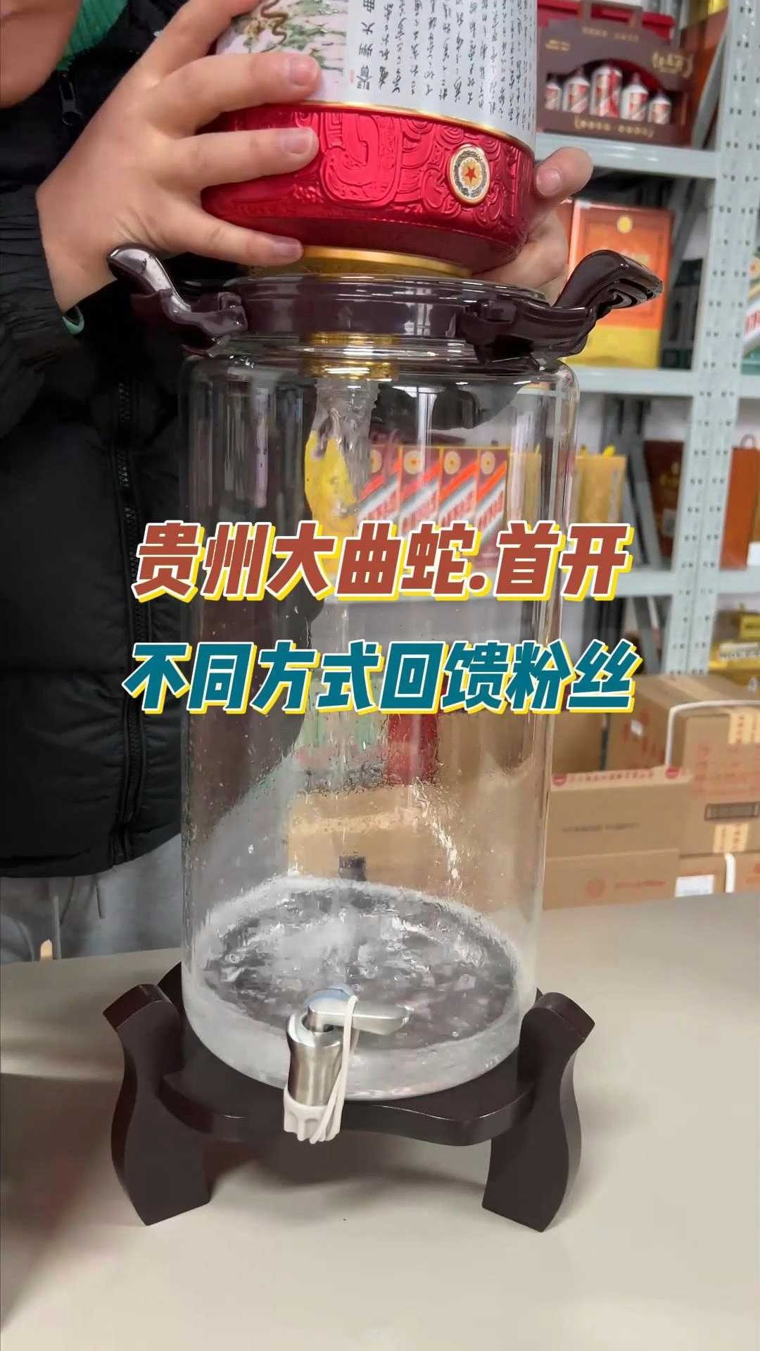 第30期:贵州大曲蛇面世,全网首开,颜值逆天,开瓶回馈粉丝!