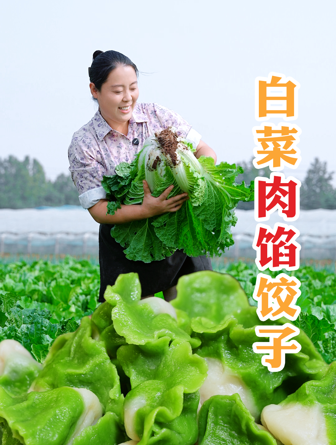 白菜肉馅的饺子真的是一绝,每次包饺子家里都是香气四溢