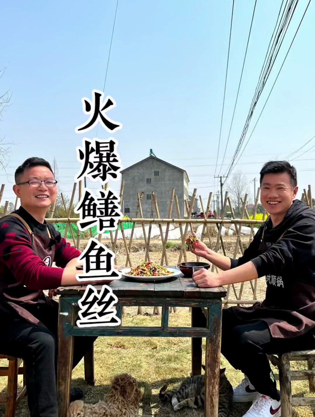 这样做的火爆鳝鱼丝你们吃过没有?鲜辣脆爽,开胃下饭!乡村味道