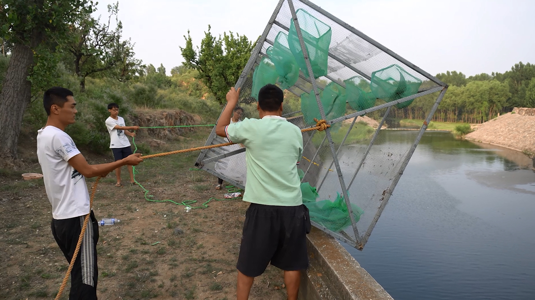 老三又来下超大地笼了,再配上特制诱饵,究竟能不能再创辉煌