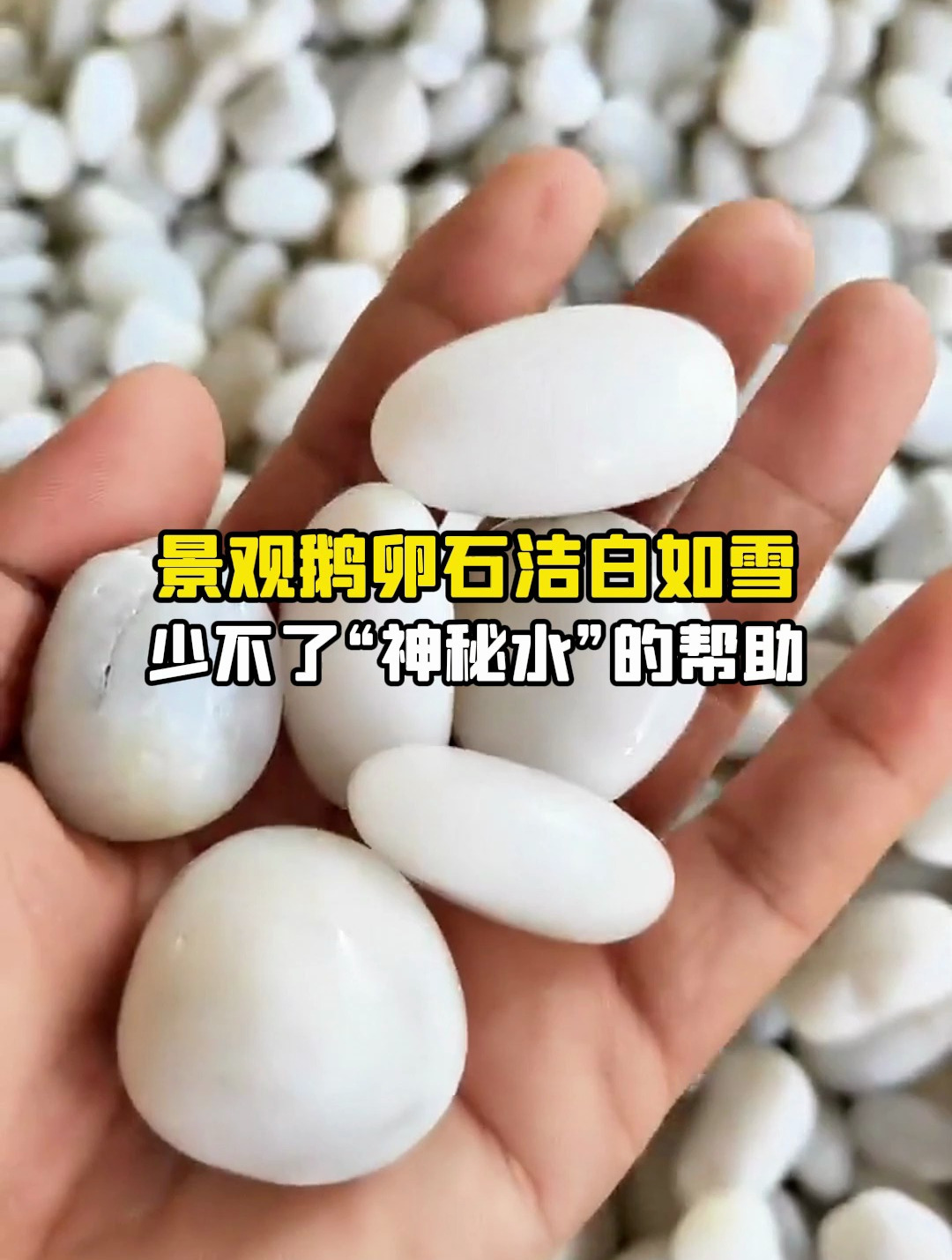 景观鹅卵石洁白如雪,少不了它的帮助