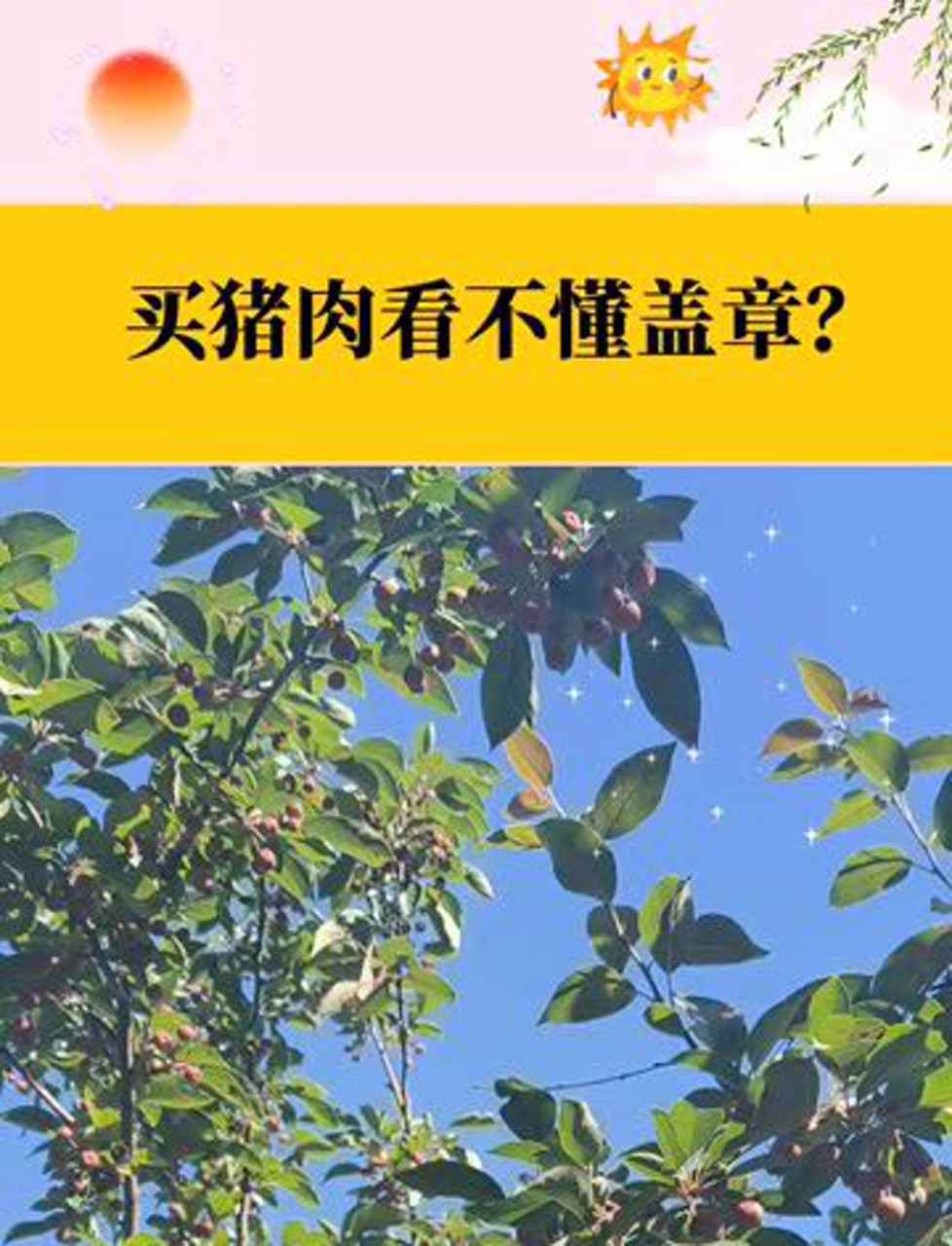 猪肉上的章子啥意思?