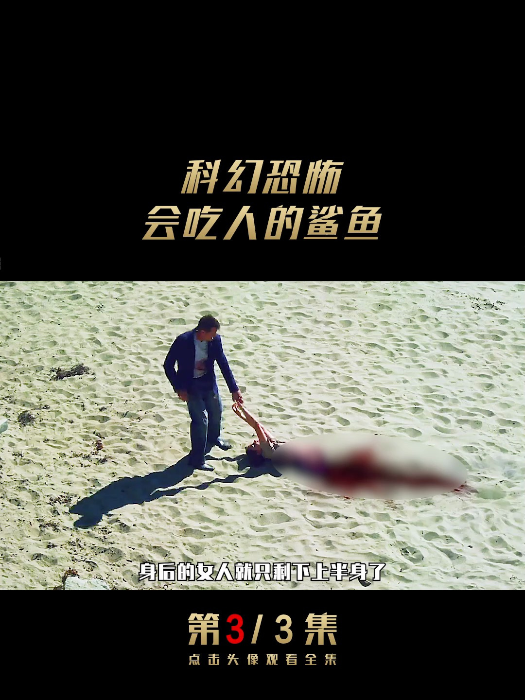 会在沙滩上有用的鲨鱼