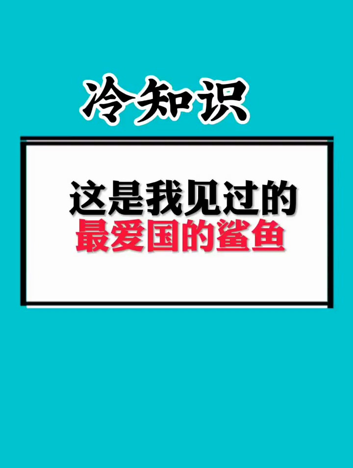 鲨鱼吃了日本人